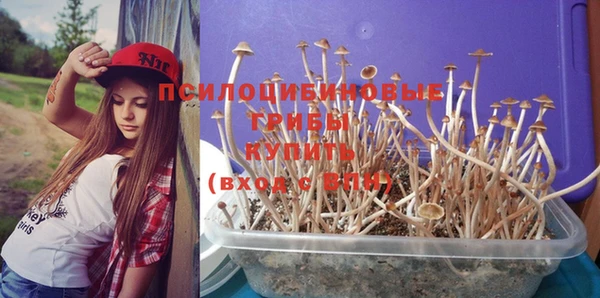 амфетамин Гусиноозёрск